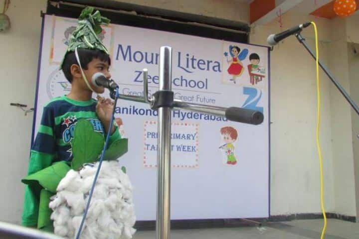 Mount Litera Zee School-Fancy Dress
