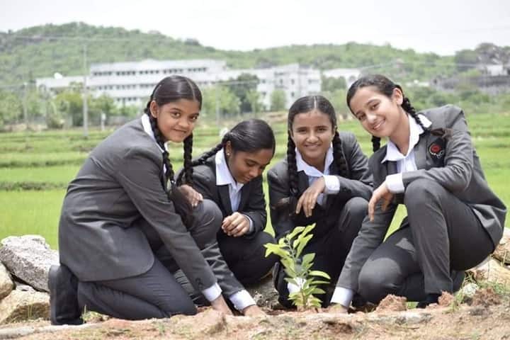 Navyabharathi Global School-Tree Plantation