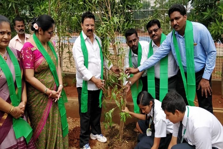 Pallavi Model School-Plant A Tree