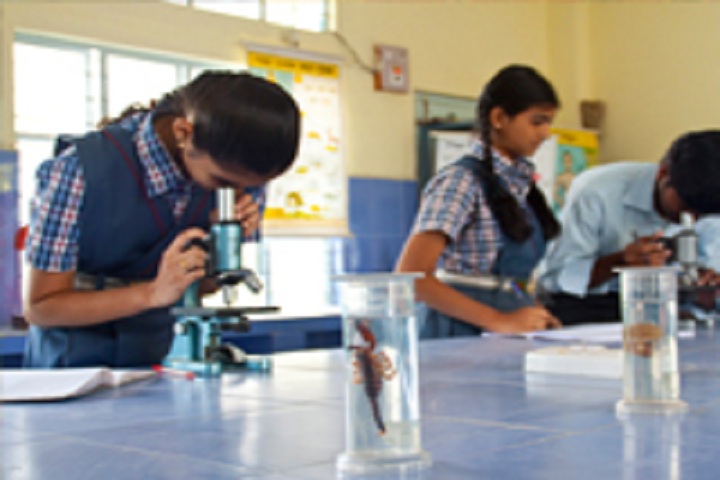 Paramita Heritage School-Laboratory