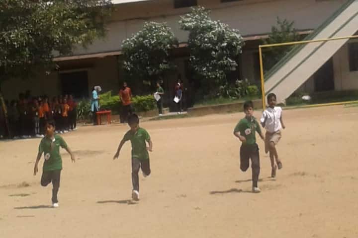 Radcliffe School-Sports