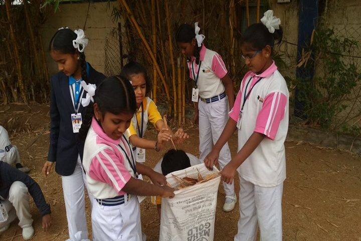 Ssr Discovery Academy-Clean Campus Camp