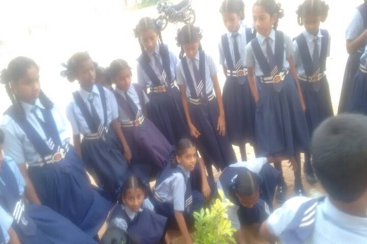 St Elizabeth Convent E M High School-Plant A Tree