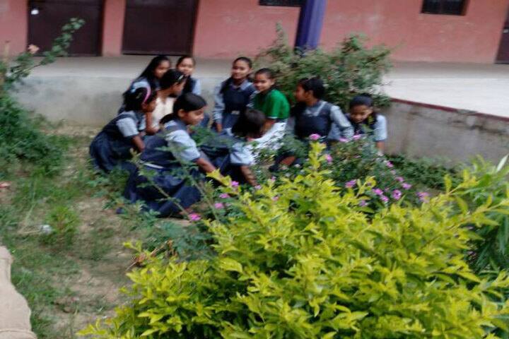 S S Gyan Bharti-Green Day