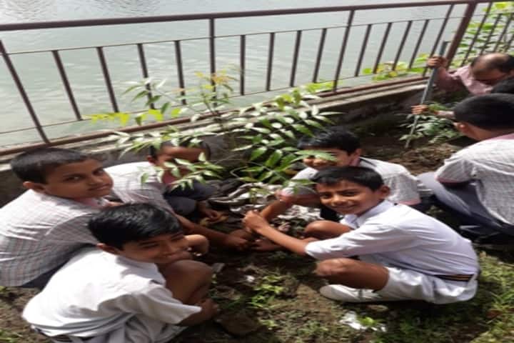 Ma Anandamayee Vidyapeeth-Tree Plant