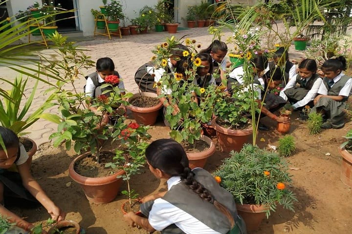 Aims International School - Plantation