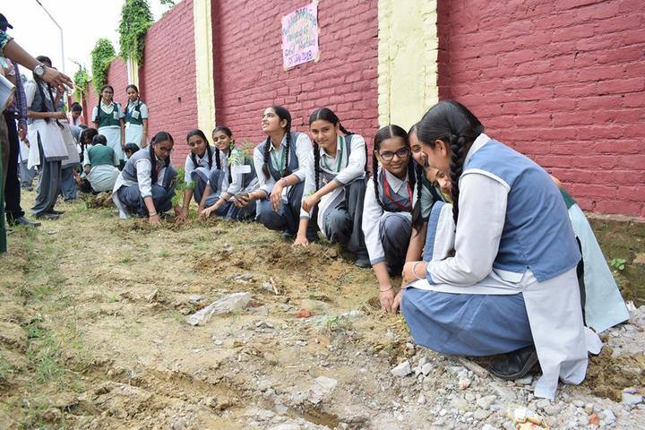 Ajmani International School - Cleanliness In School