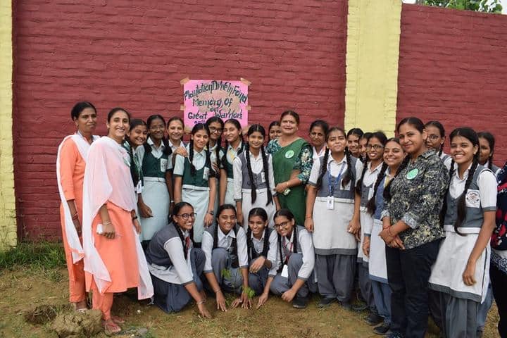 Ajmani International School - Tree Plantation