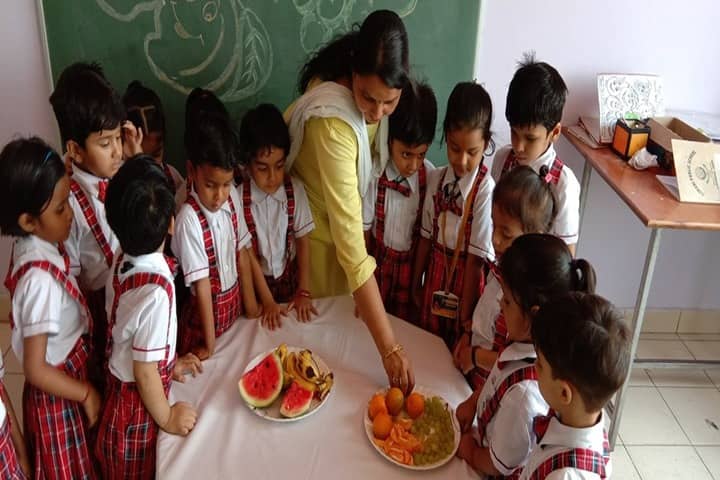 Ajmani Public School-Fruit activity