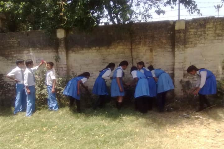Aliganj Montessori School - Swach Bharat