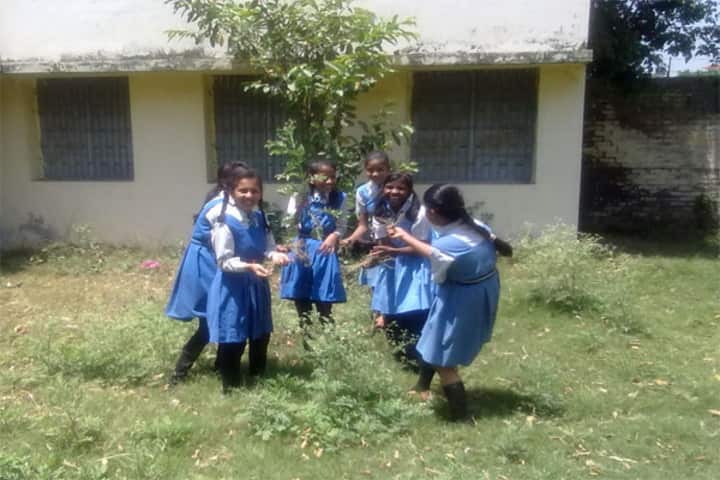 Aliganj Montessori School - Tree Plantation