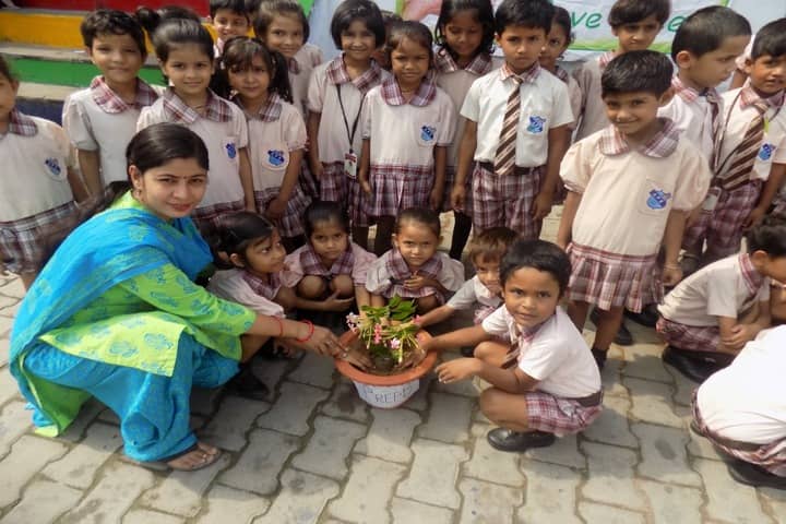 Allahabad Public School - Tree Plantation