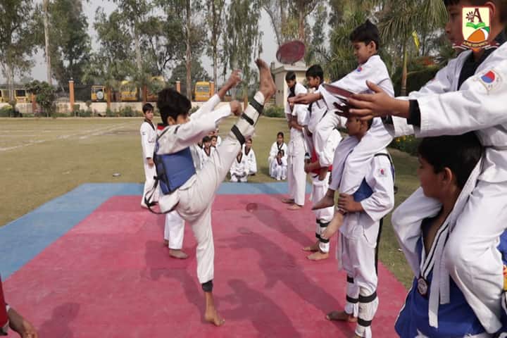 Alphine Vidyapeeth - Martial Arts