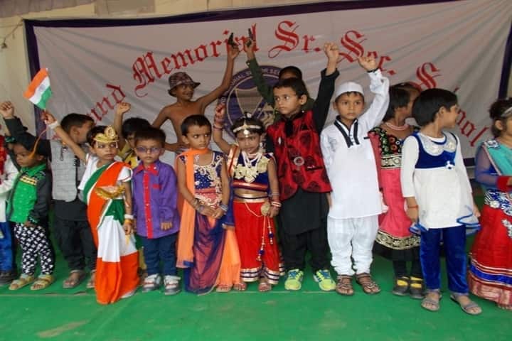 Anand Memorial Academy - Fancy Dress