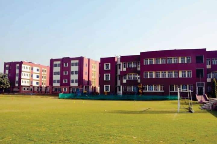 Apeejay International School- Playground