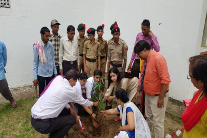 Army Public School-Plantation