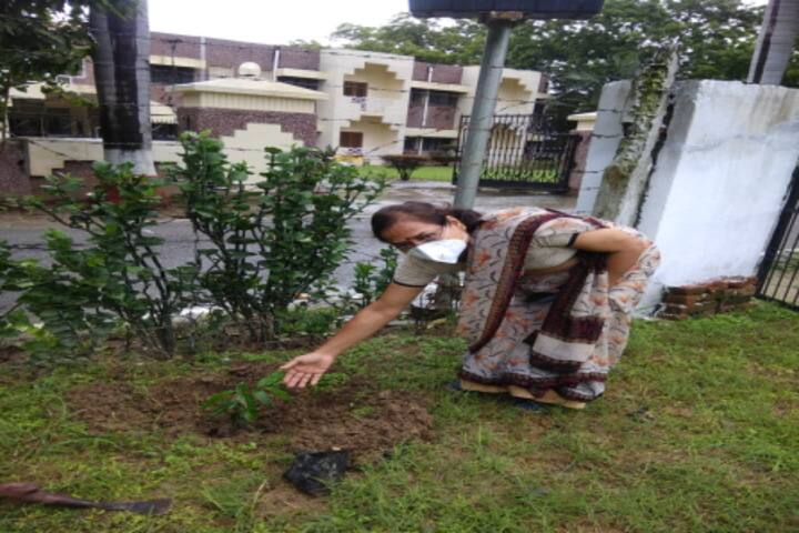 Army Public School-Tree Plantation