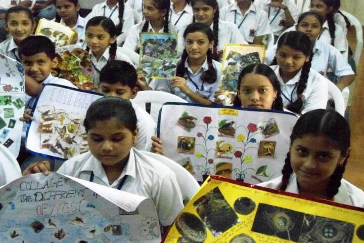 Army Public School-Activity
