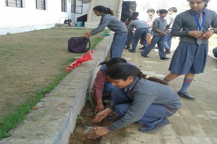 Arya Bandhu Public School-Plantation