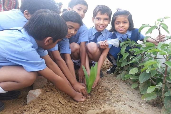 Aum Sun Public School-Tree Plantation