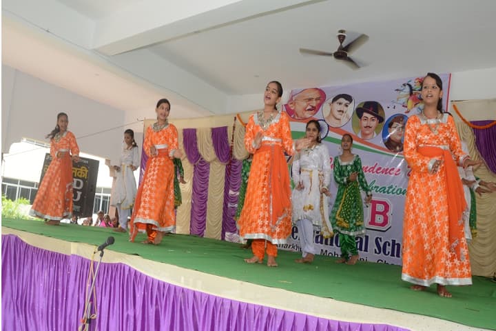 B and B International School-Events1