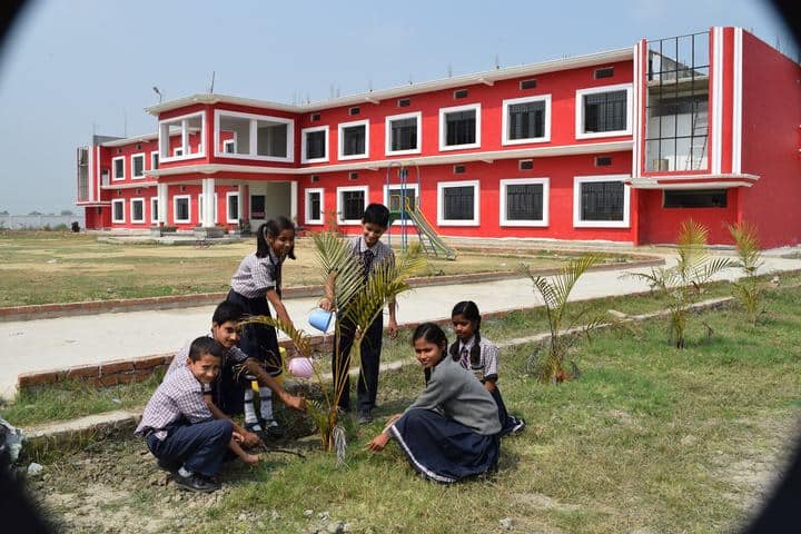 BSD Public School-Tree Plantation