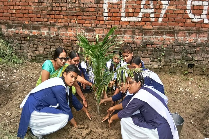 B P M GYAN JYOTI SCHOOL-Tree Plantation