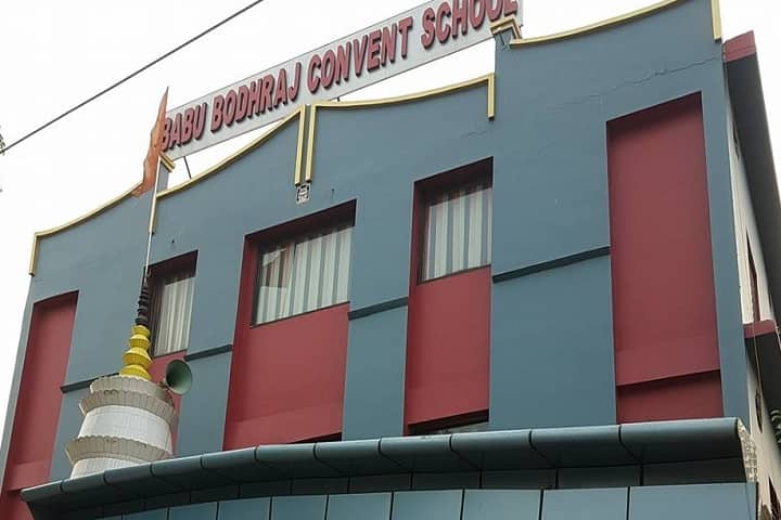 Babu Bodh Raj Convent School-School Building
