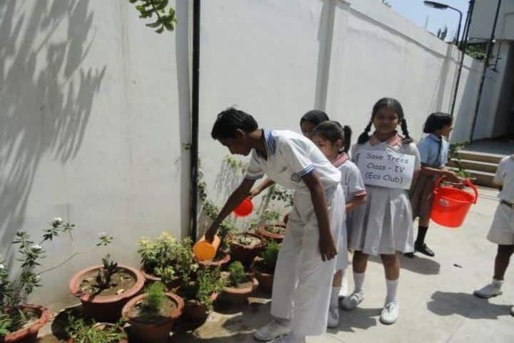 Bal Bharti School- Plantation