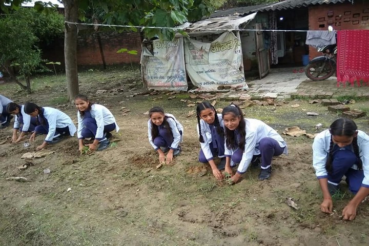 Bal Bharti School-Plantation Day