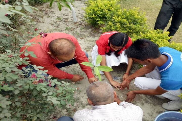 Sanskriti Public School-Others plantation
