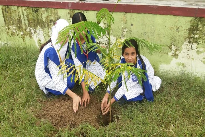 Benison School-Plantation Activity