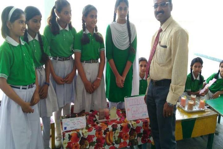 Bhagwant Public School-Activities