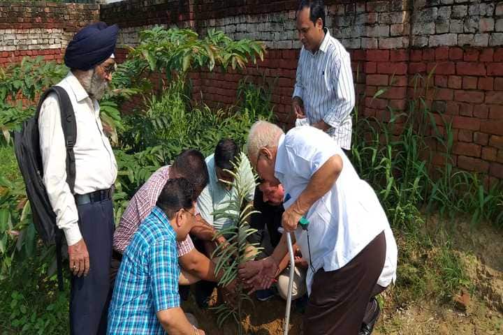 Bharat Vikas Parishad Kanya Ucha Madhyamik Vidyalaya-Plantation