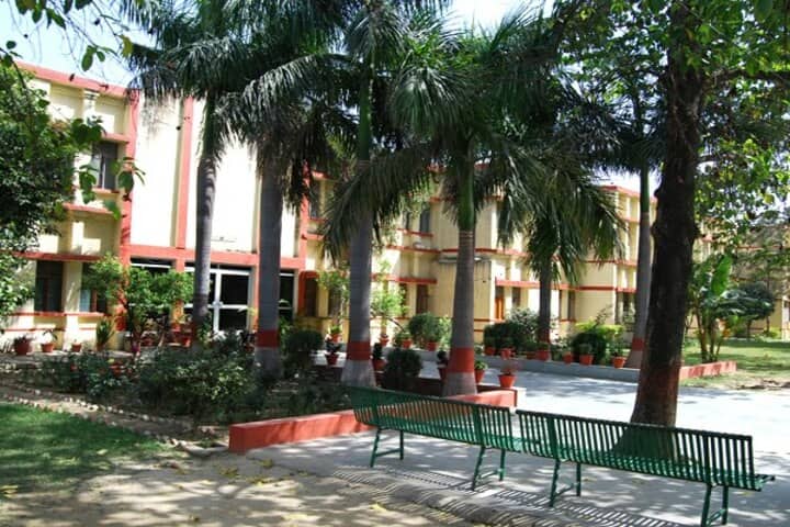 Bhartiya Vidya Bhavan Vidyalaya-School Campus