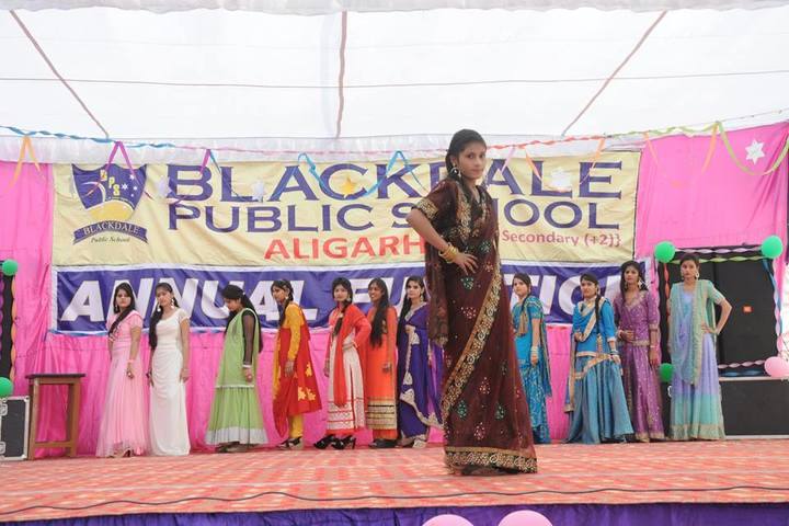 Black Dale Public School-Fashion Show