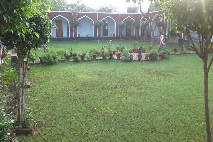 Black Dale Public School-School Garden