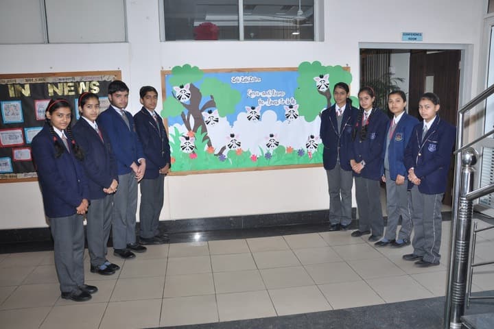 BNG International School-Board Making Compitition
