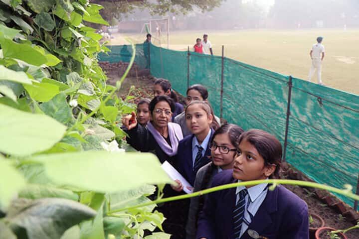 Cambridge School-The Vegetable Garden