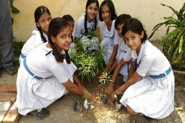 Central Hindu Girls Senior Secondary School-Plantation