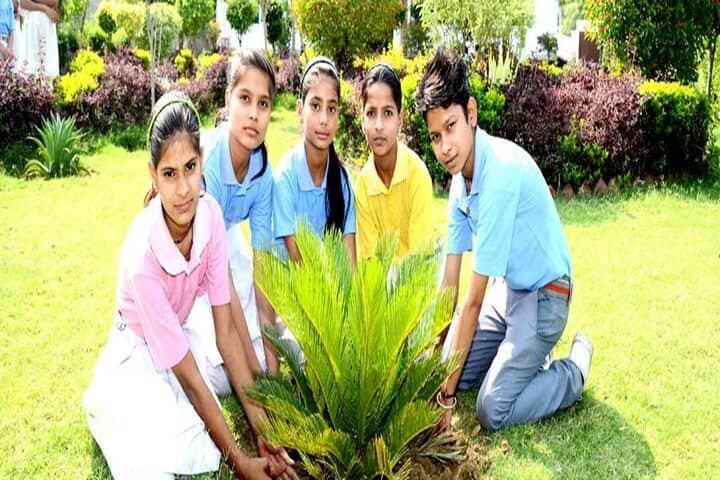 Chetan International School-Tree Plantation