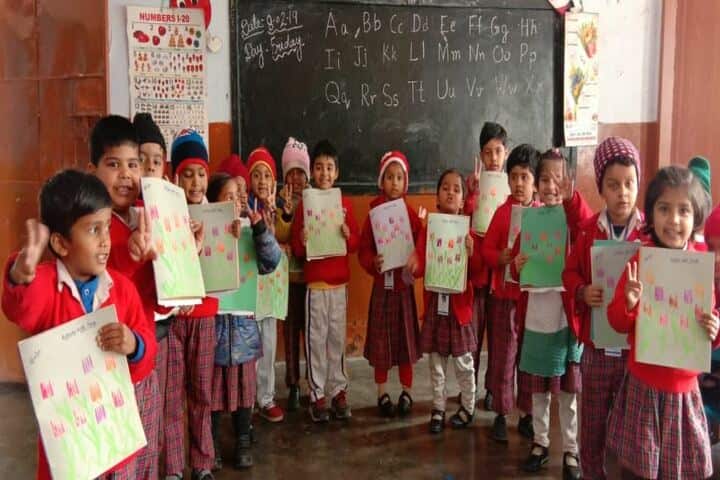 D A V Public School-Activity