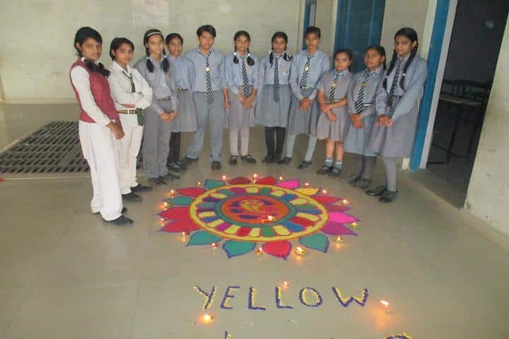 D S Public School-Activity