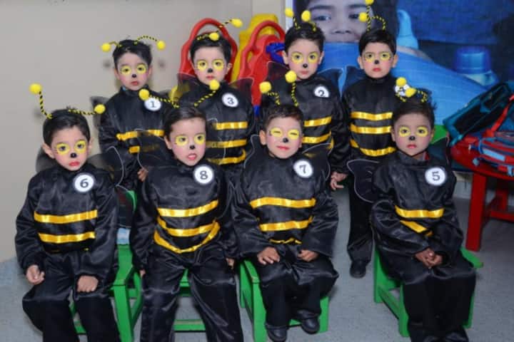 D A V Centenary Public School-Kindergarten