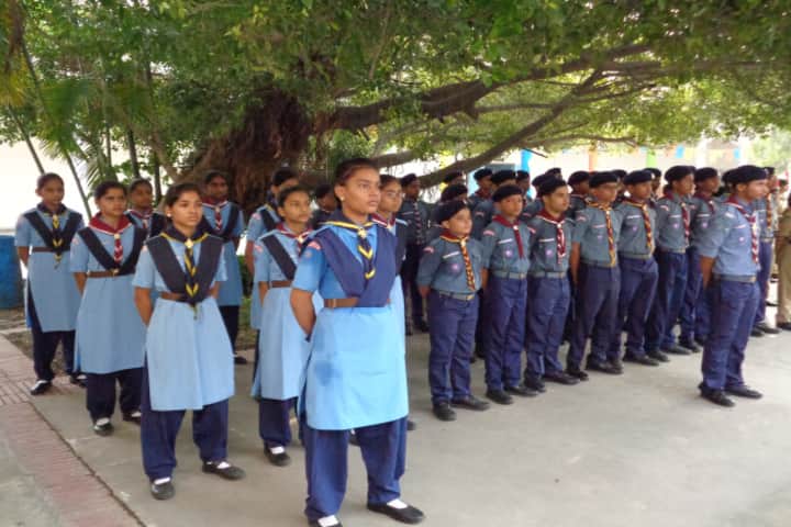 DAV Fertilizer Public School-Scouts and Guides