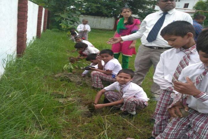 Dawn Washco School-Tree Plantation