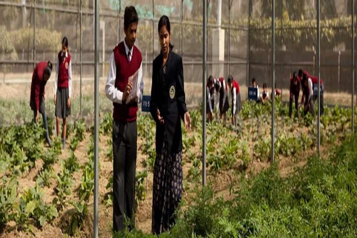 Dayawati Modi Academy-Field Visit