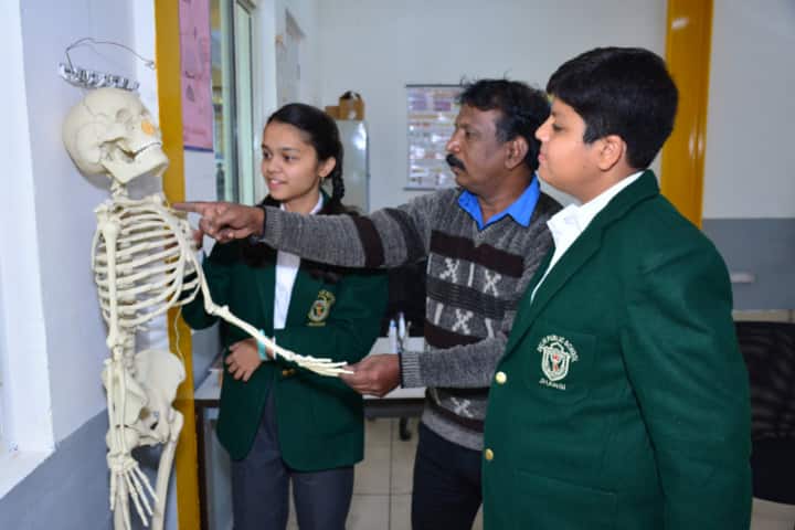 Delhi Public School-Biology-Lab