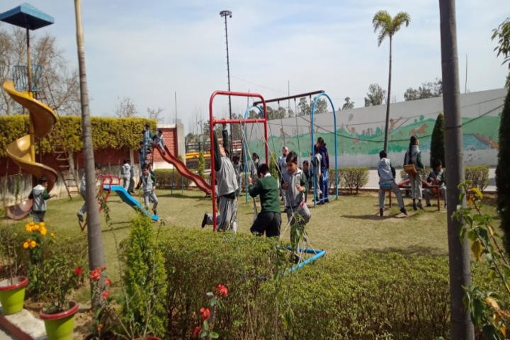 Delhi Public School-Playground