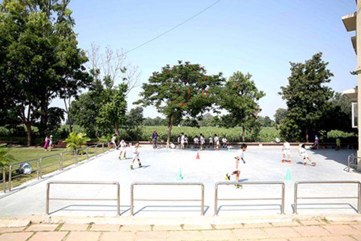Delhi Public School-Skating